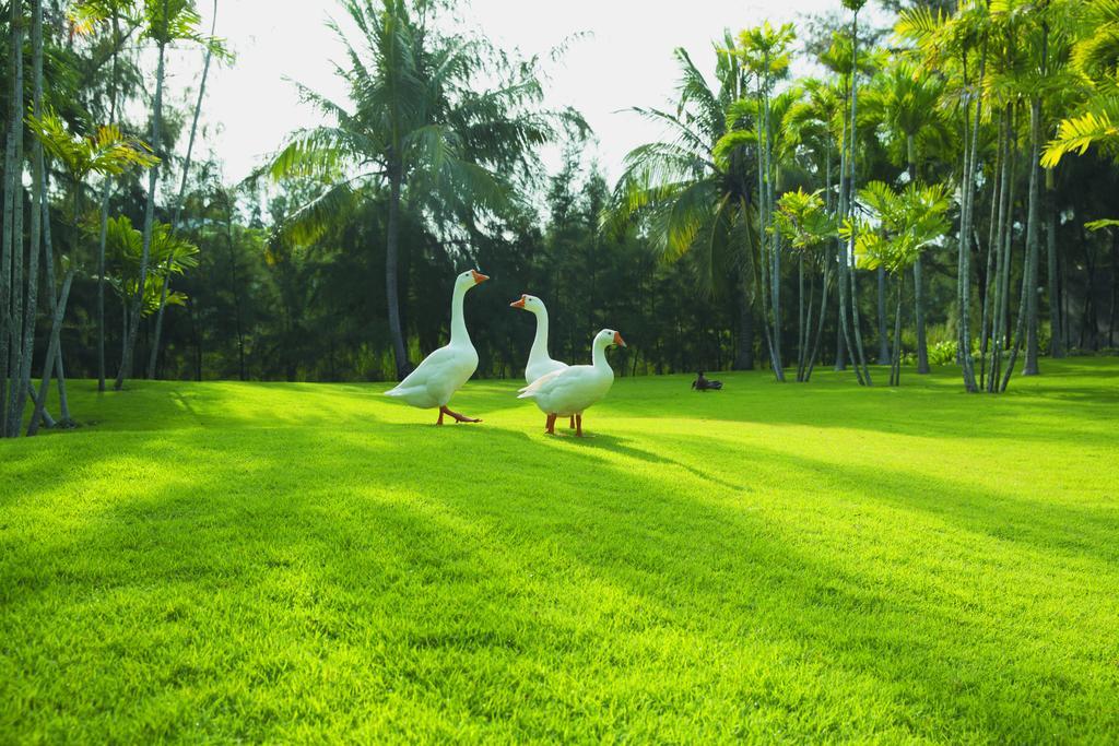 Sanctuary Residential Resort Community Vũng Tàu Eksteriør billede